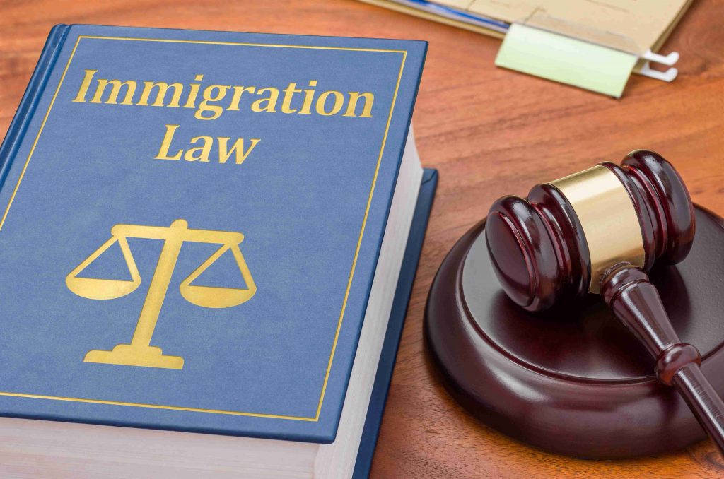 Immigration Law Book